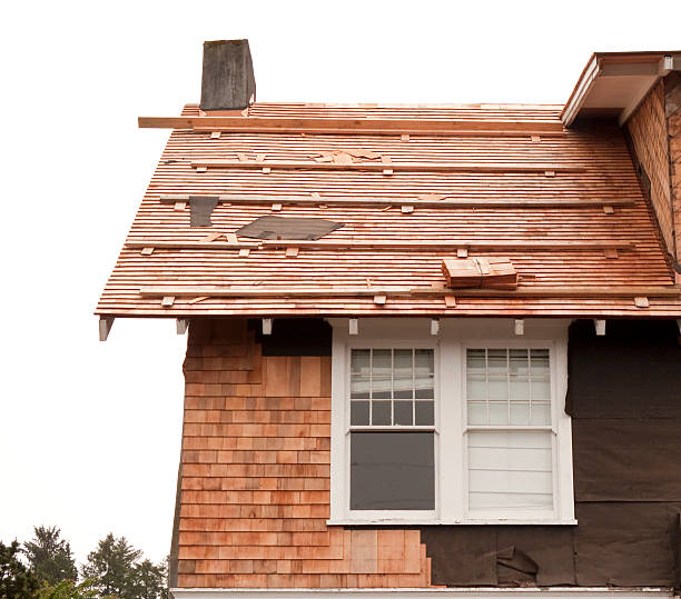 Best Siding Maintenance  in Novato, CA